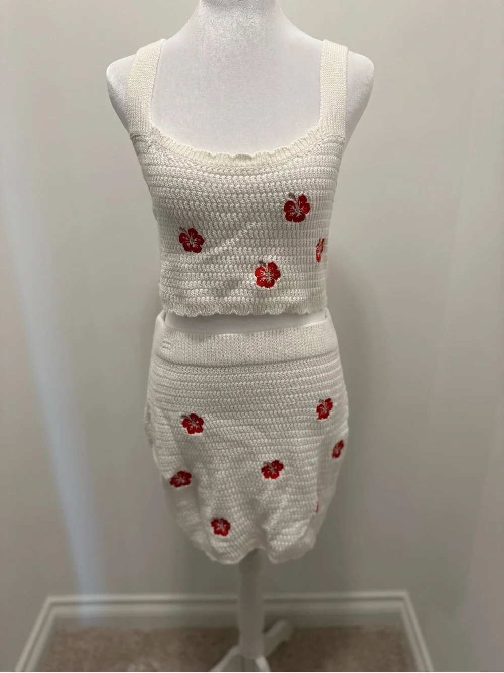 wild fable White Crocheted Two-Piece Skirt Set with Red Floral Embroidery